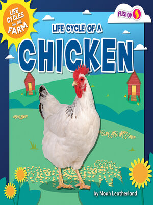 cover image of Life Cycle of a Chicken